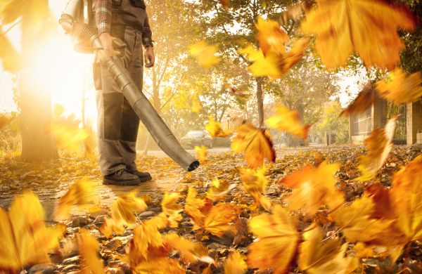 Leaf Blowing Service in Kennesaw