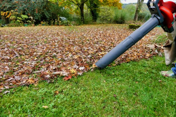 Leaf Vacuuming Service in Kennesaw