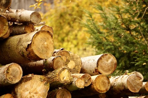 Wood Pile Removal in Kennesaw