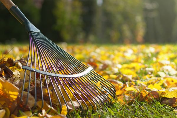 Leaf Raking Service in Kennesaw
