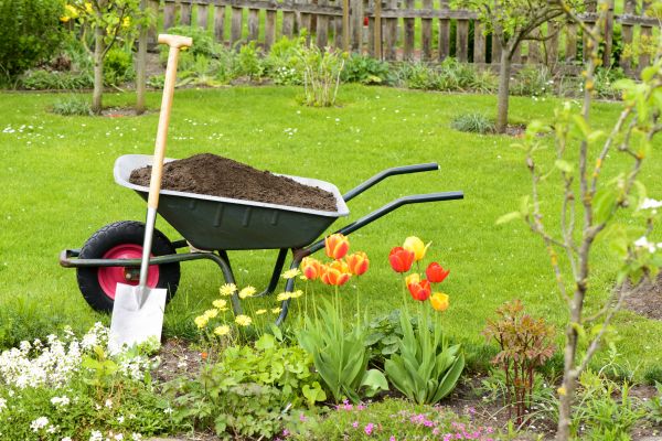 Spring Yard Cleanup in Kennesaw