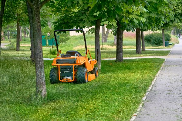 Landscaping Cleanup Service in Kennesaw