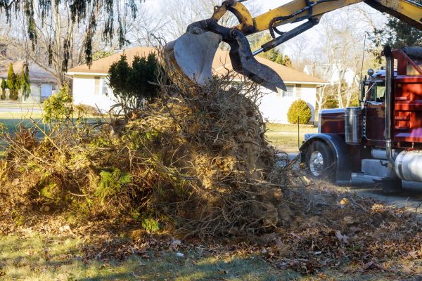 Storm Debris Removal in Kennesaw