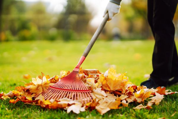 Ditch Leaf Removal in Kennesaw