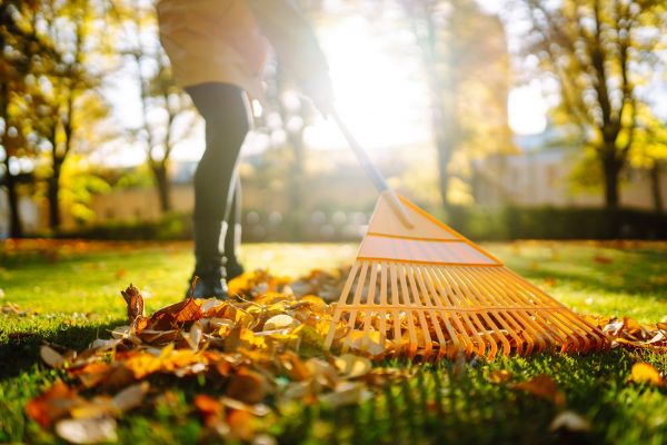 Leaves Raking in Kennesaw