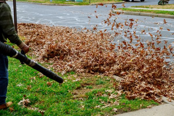 Garden Leaf Removal in Kennesaw