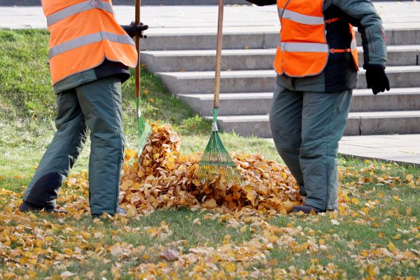 Leaf Hauling Service in Kennesaw