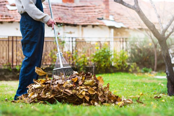 Spring Lawn Cleanup in Kennesaw