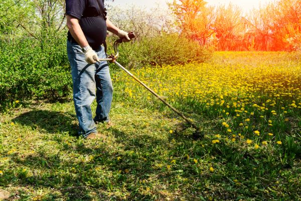 Yard Clearing Service in Kennesaw
