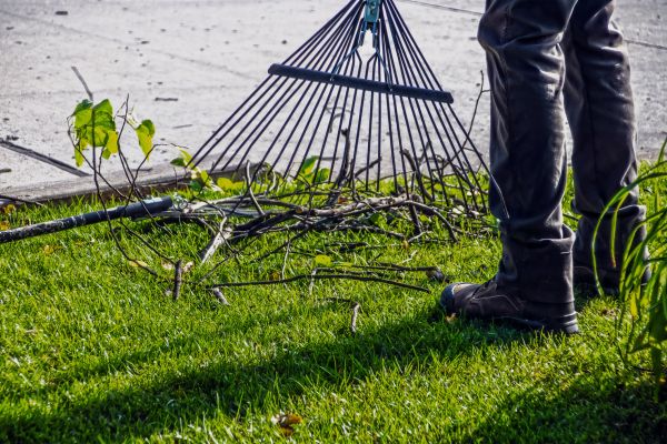 Yard Debris Cleanup in Kennesaw