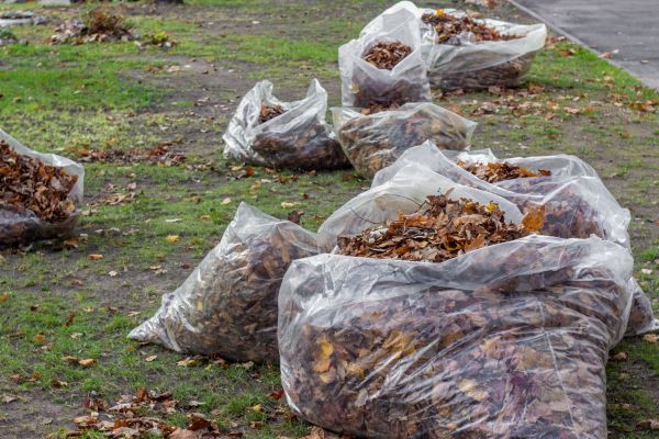 Leaf Pile Disposal in Kennesaw