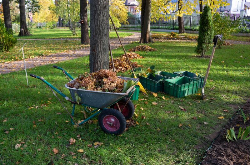 Commercial Leaf Removal