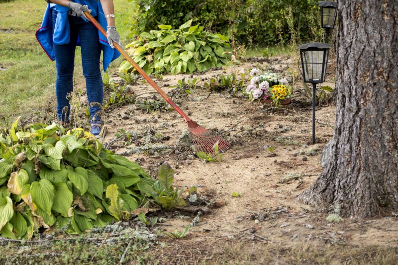 Spring Yard Preparation
