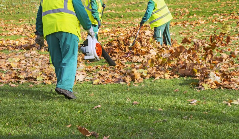 Equipment Used in Lawn Clean Up
