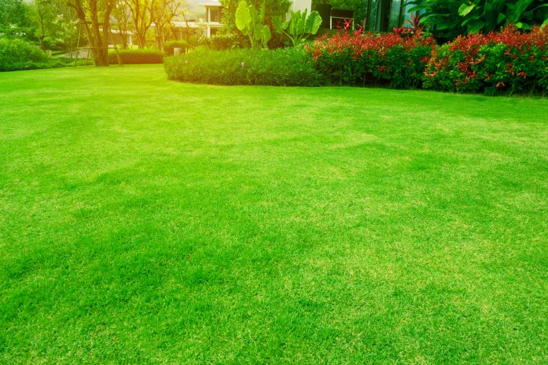 Lawn Care Consultation