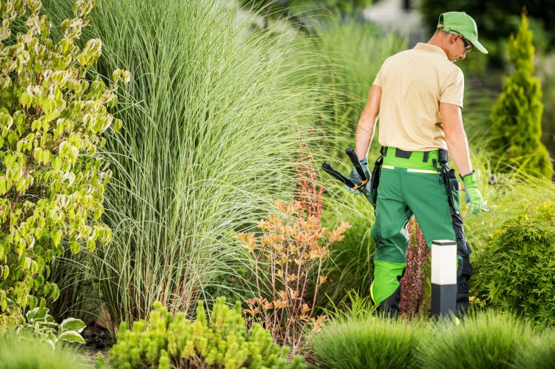 Lawn Maintenance Professionals